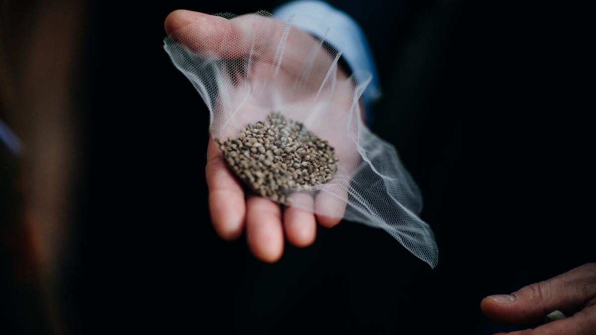 Seeds in Hand