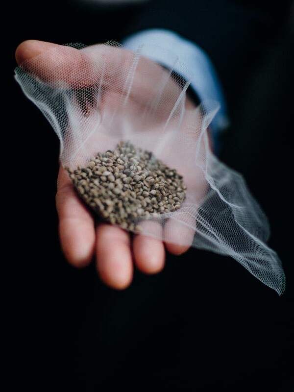 Seeds in Hand