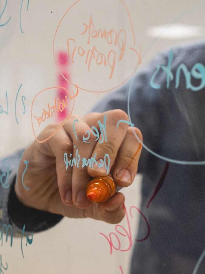 person holding orange flower petals