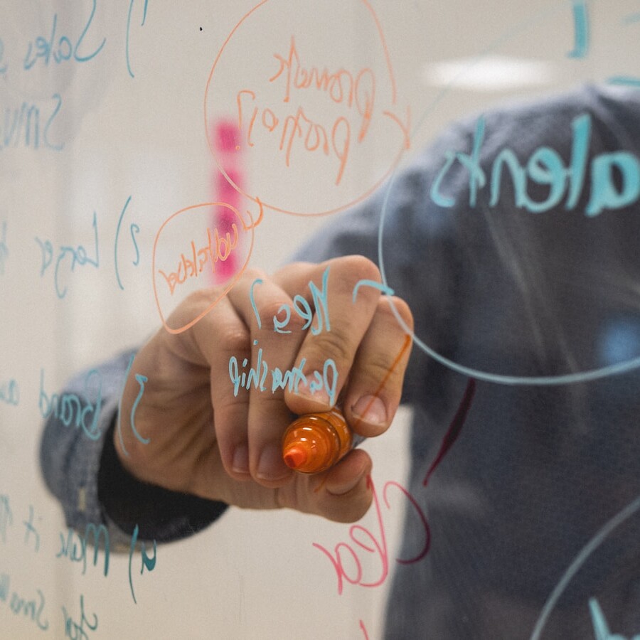 person holding orange flower petals